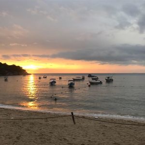 Meet your Posher, Sendy